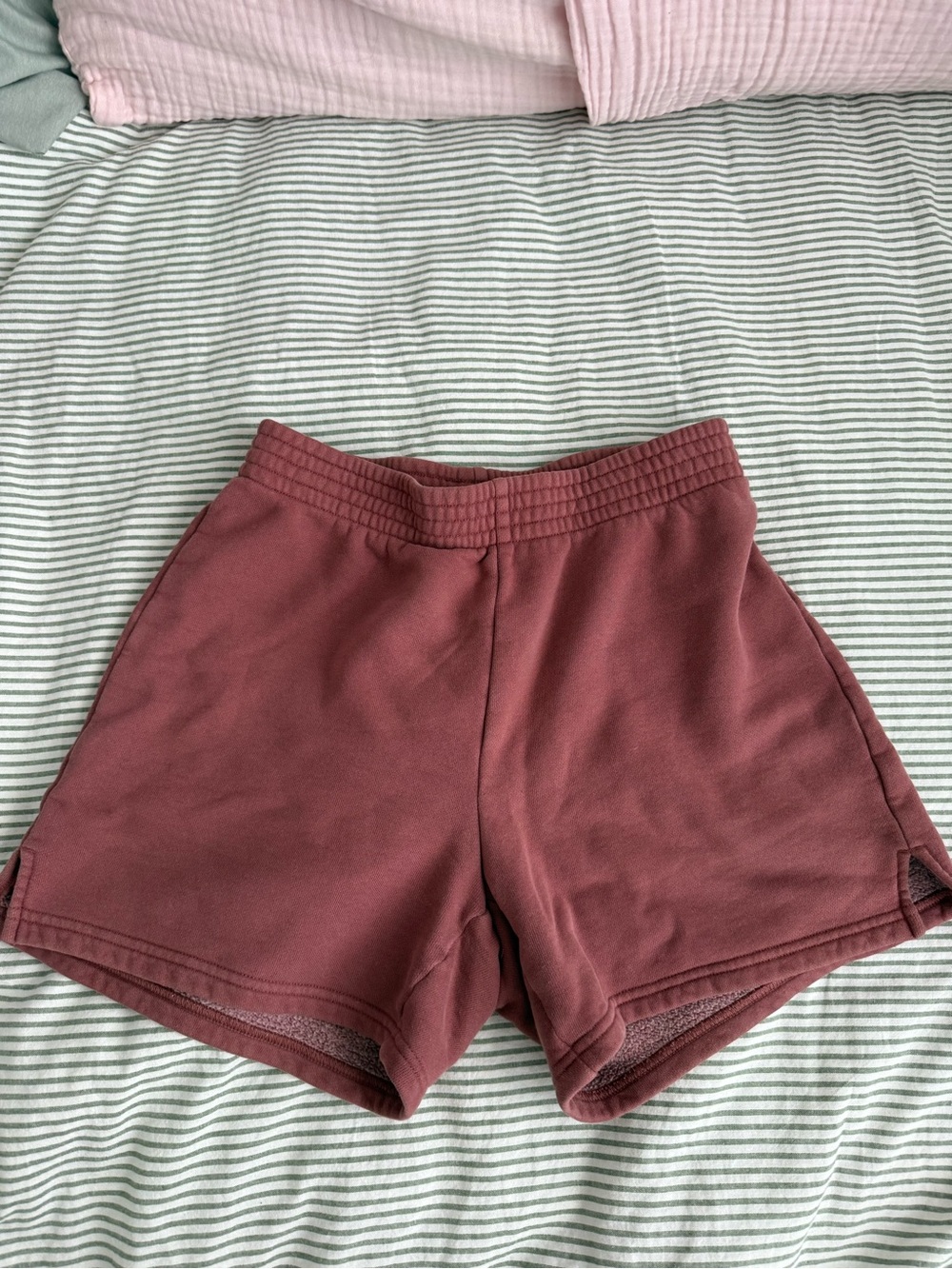 Aritzia shorts